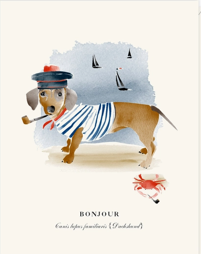 Bonjour Dachshund Sailor Card