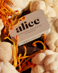 Brainstorm: Mushroom Chocolate For Focus
