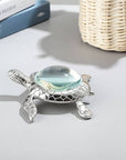 Metal Sea Turtle Magnifying Glass Sculpture