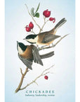 The Spiritual Meaning of Birds Oracle Deck
