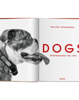 Walter Chandoha Dogs Book