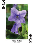 Foraging Playing Cards
