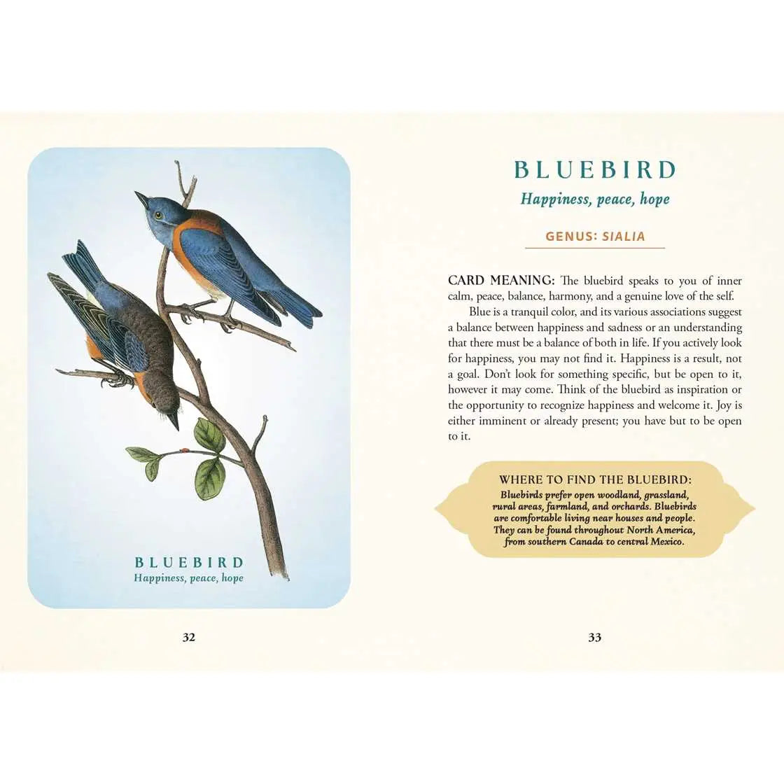 The Spiritual Meaning of Birds Oracle Deck Napa Valley Museum