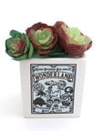 Disney's Alice in Wonderland Planter