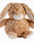 Again Friends Honey Bunny