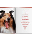 Walter Chandoha Dogs Book