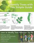 Pacific Coast Tree Finder