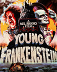 Friday Night Films at NVMY