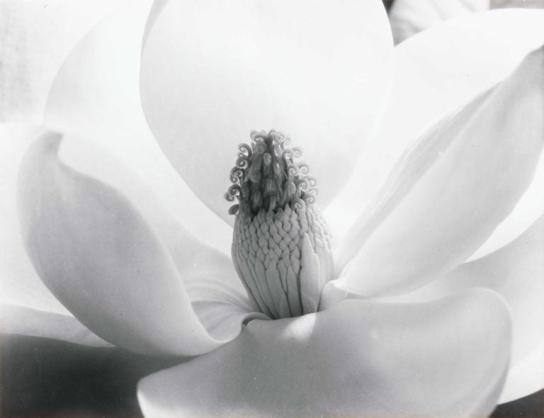 Modern Women | Modern Vision: Works from the Bank of America Collection