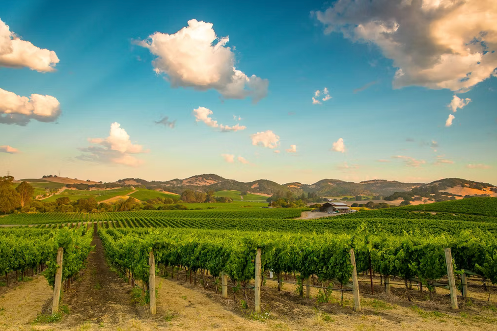 Revisiting the Napa County Agricultural Preserve