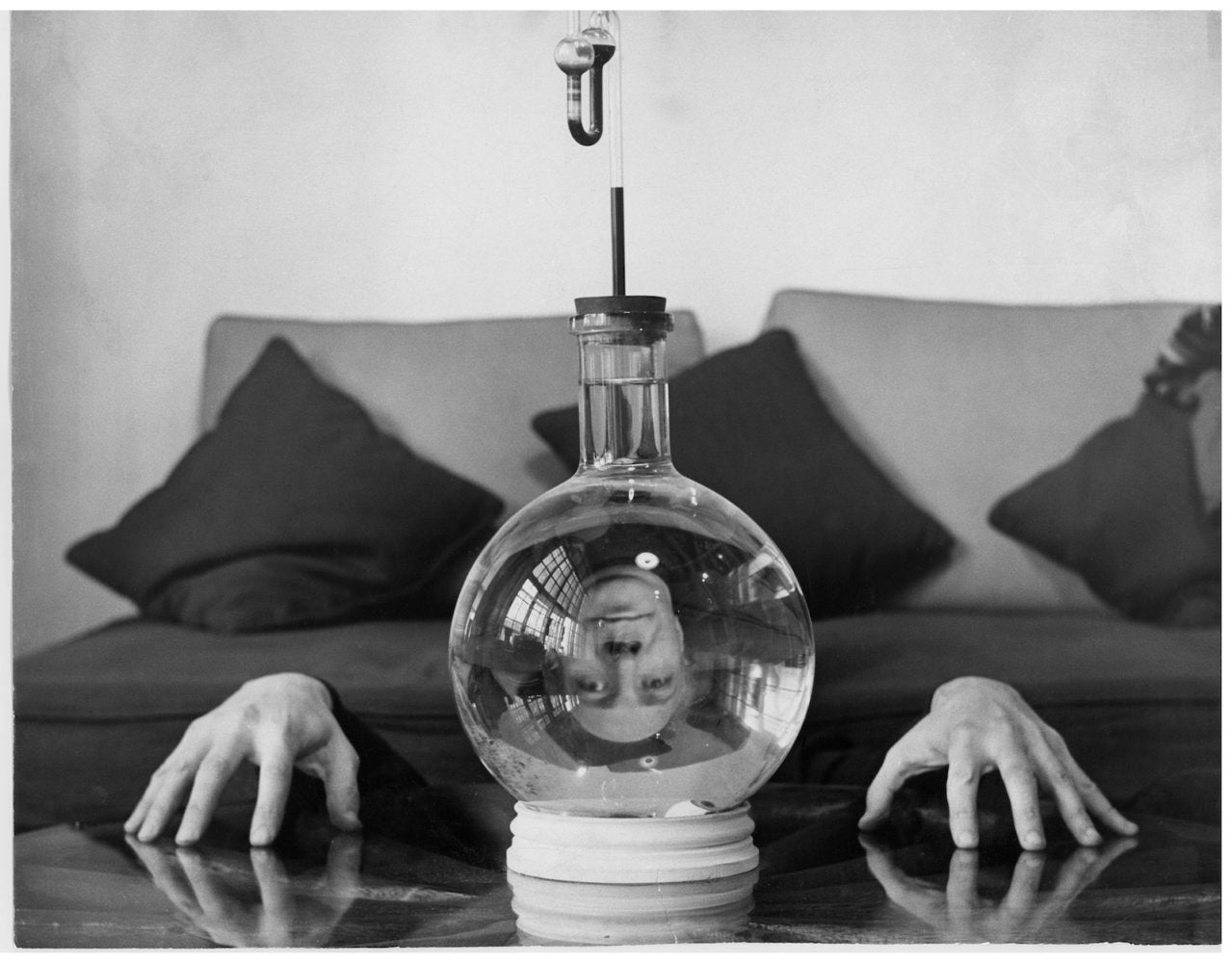 The Surrealist Revolution in America