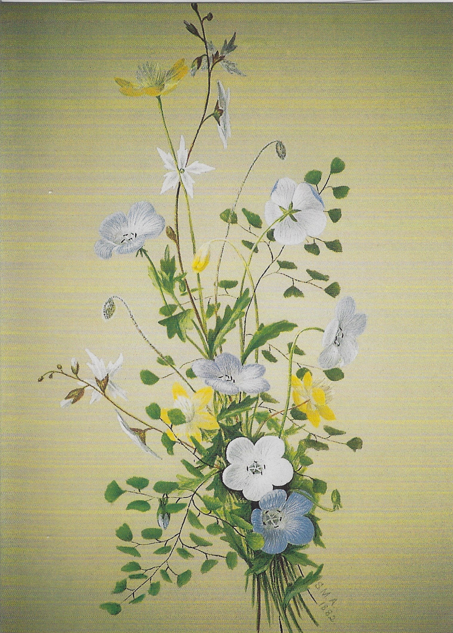 Sophie's Wildflowers