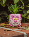 Cheshire Cat Succulent Planter