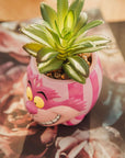 Cheshire Cat Succulent Planter