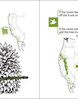 Pacific Coast Tree Finder