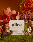 Brainstorm: Mushroom Chocolate For Focus