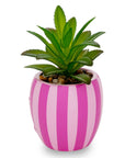 Cheshire Cat Succulent Planter