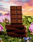 Happy Ending: Mushroom Chocolate For Wellness