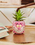 Cheshire Cat Succulent Planter