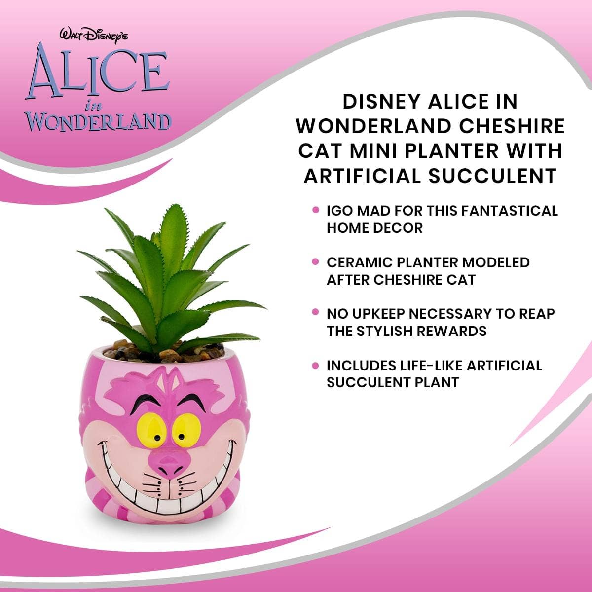 Cheshire Cat Succulent Planter