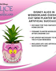 Cheshire Cat Succulent Planter
