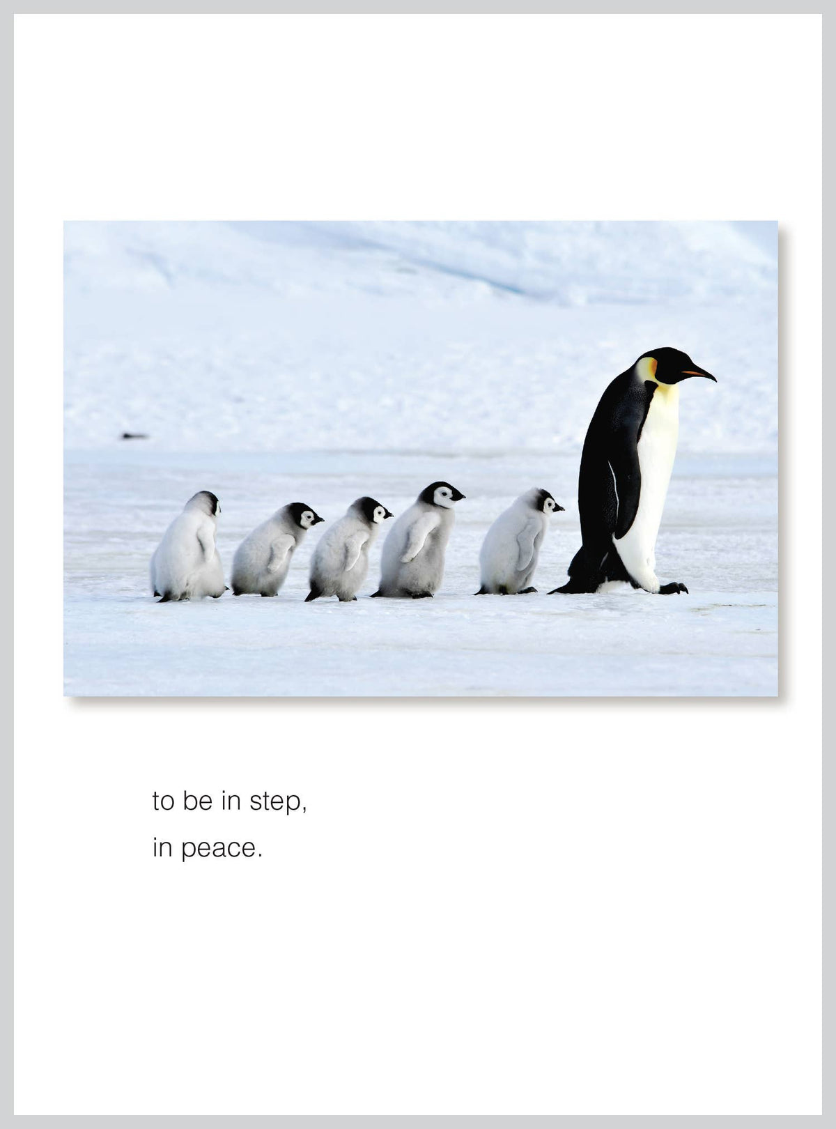 In peace Christmas Greeting Card