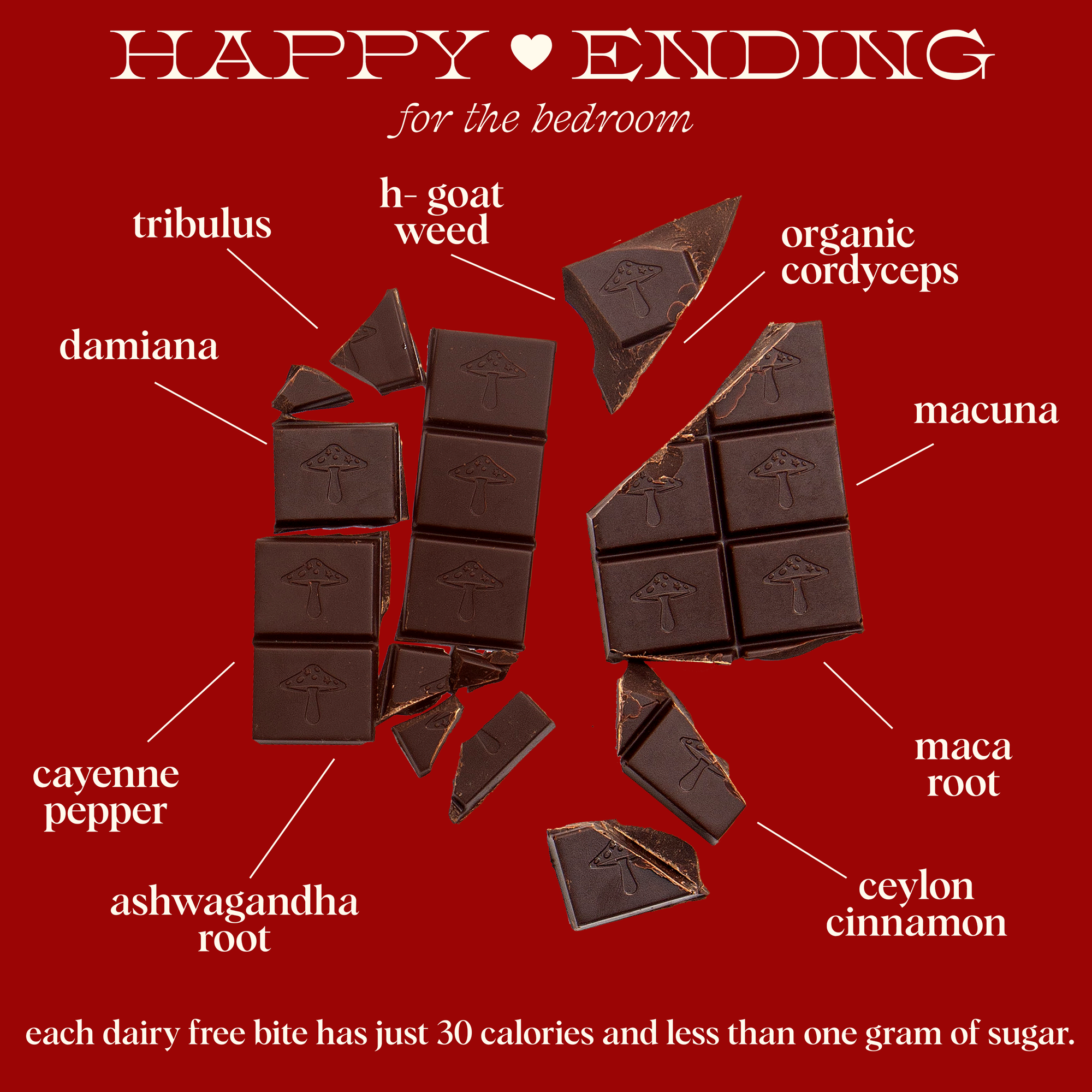Happy Ending: Mushroom Chocolate For Wellness