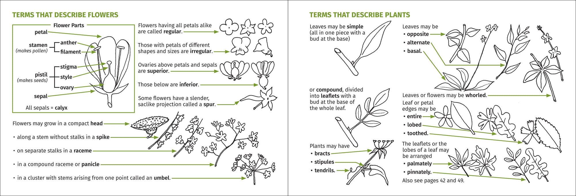 Redwood Region Flower Finder 3rd Edition