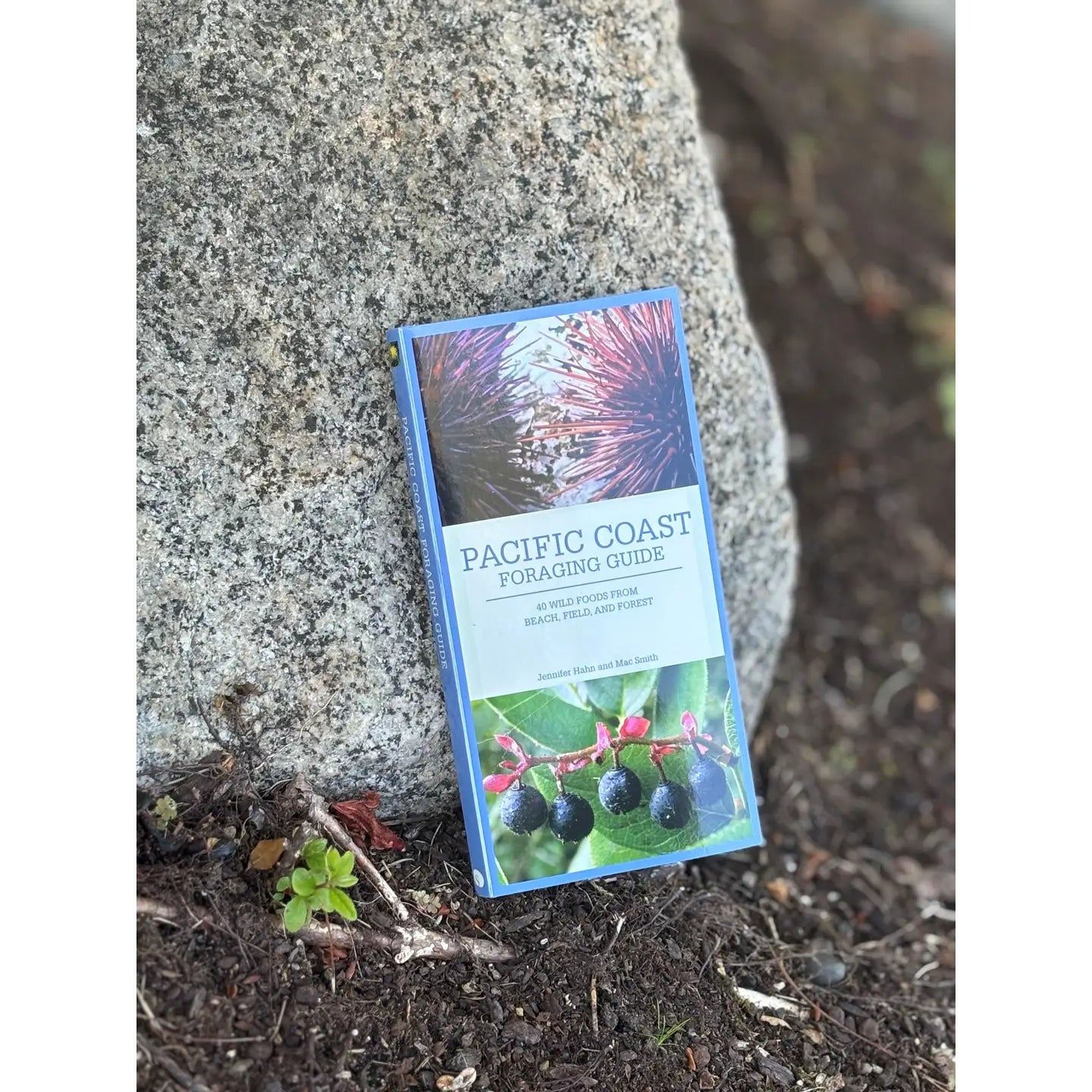 Pacific Coast Foraging Guide