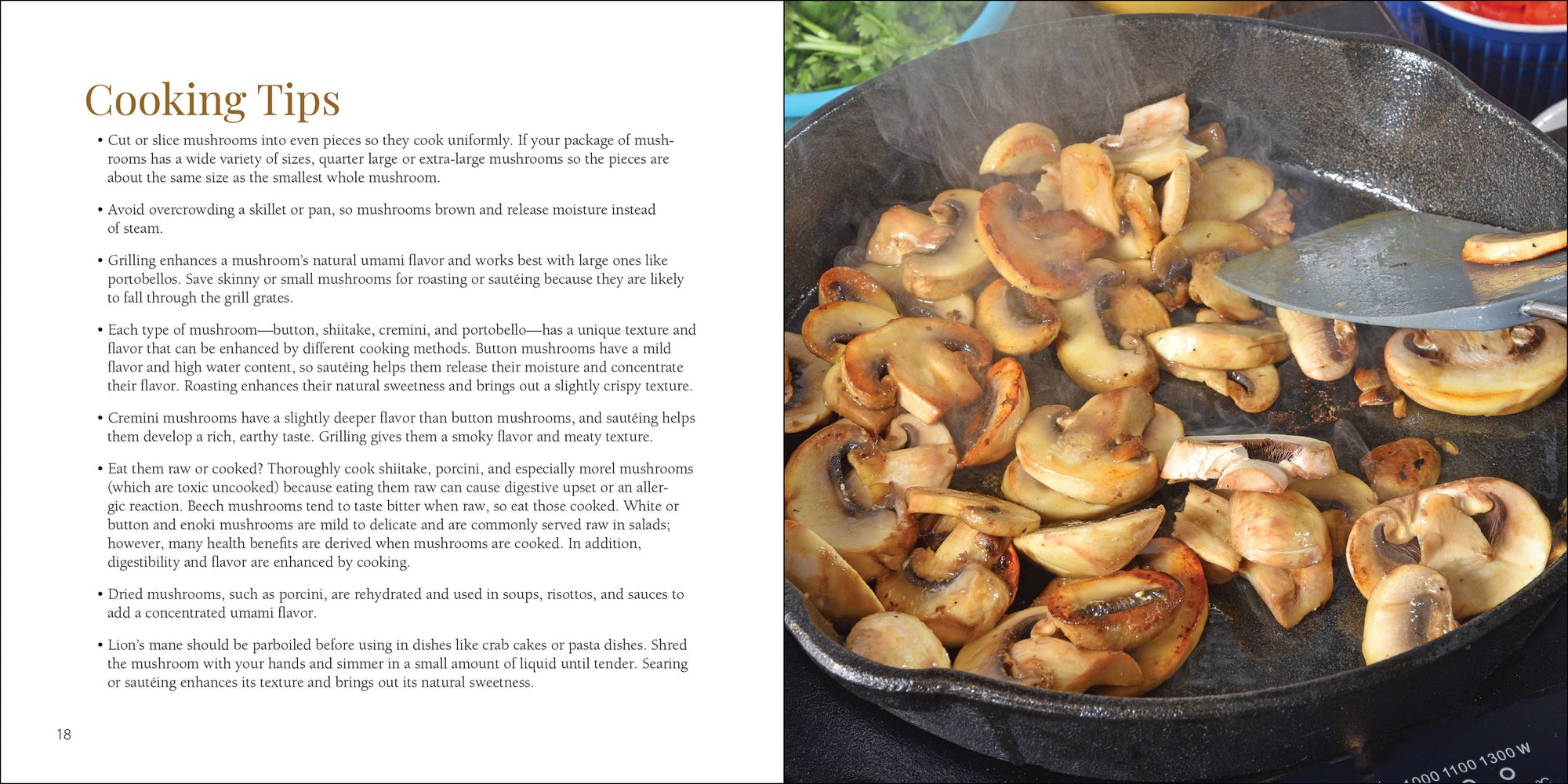Mushrooms Cookbook