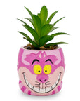 Cheshire Cat Succulent Planter