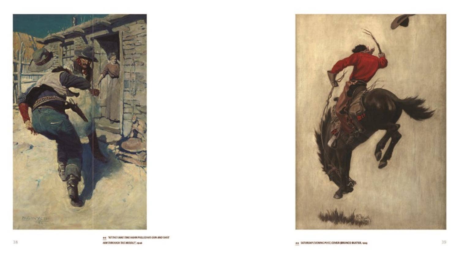 N.C. Wyeth: New Perspectives
