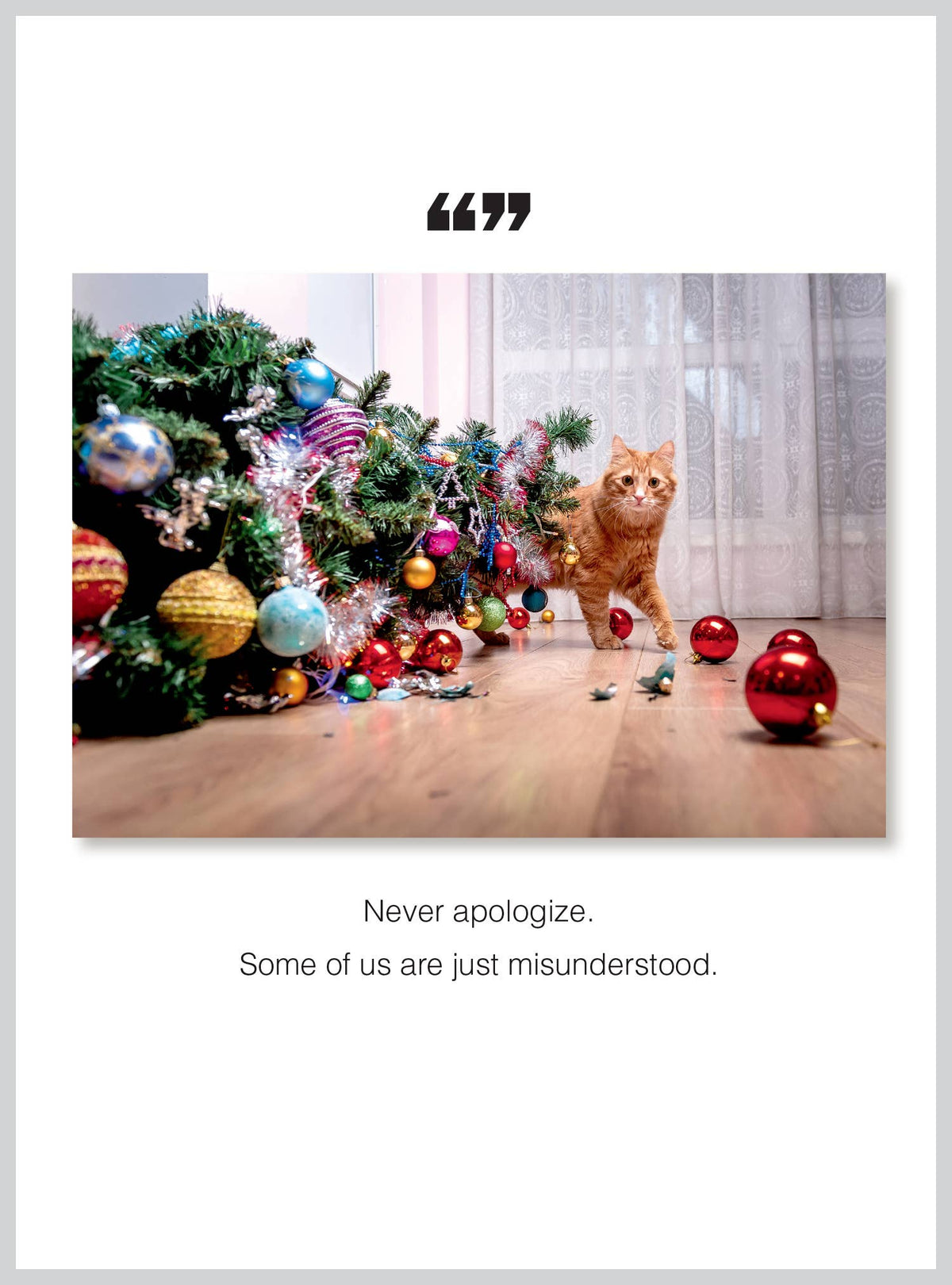 Misunderstood Christmas Greeting Card