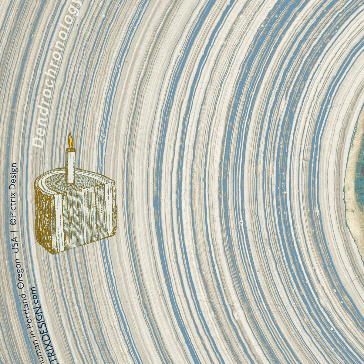 "Dendrochronology" A2 birthday card (man): Recycled Kraft