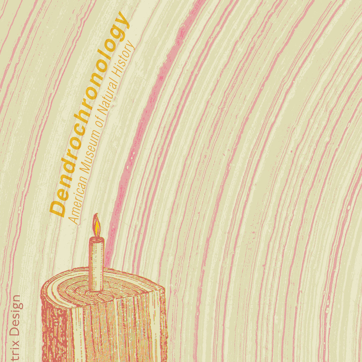 "Dendrochronology" A2 birthday card (woman): Recycled Kraft