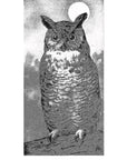 Field Book of Wild Birds and Their Music