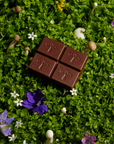 Nightcap:  Mushroom Chocolate For Deep Sleep