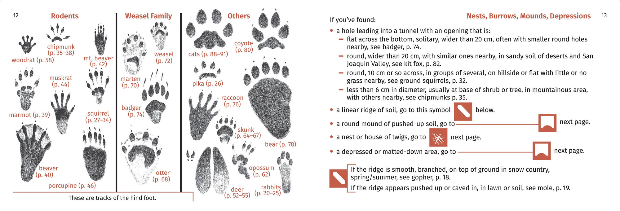 Pacific Coast Mammal Finder 2nd Edition