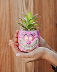 Cheshire Cat Succulent Planter