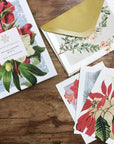 Winter Botanicals: Set of 12 Note Cards and Envelopes