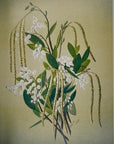 Sophie Mitchell - Stanford Manzanita Blank Card
