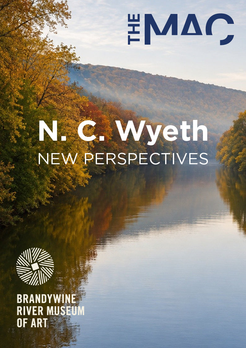 N. C. Wyeth: New Perspectives by filmmaker Glenn Holsten