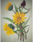 Sophie Mitchel - Mule's Ear Blank Card