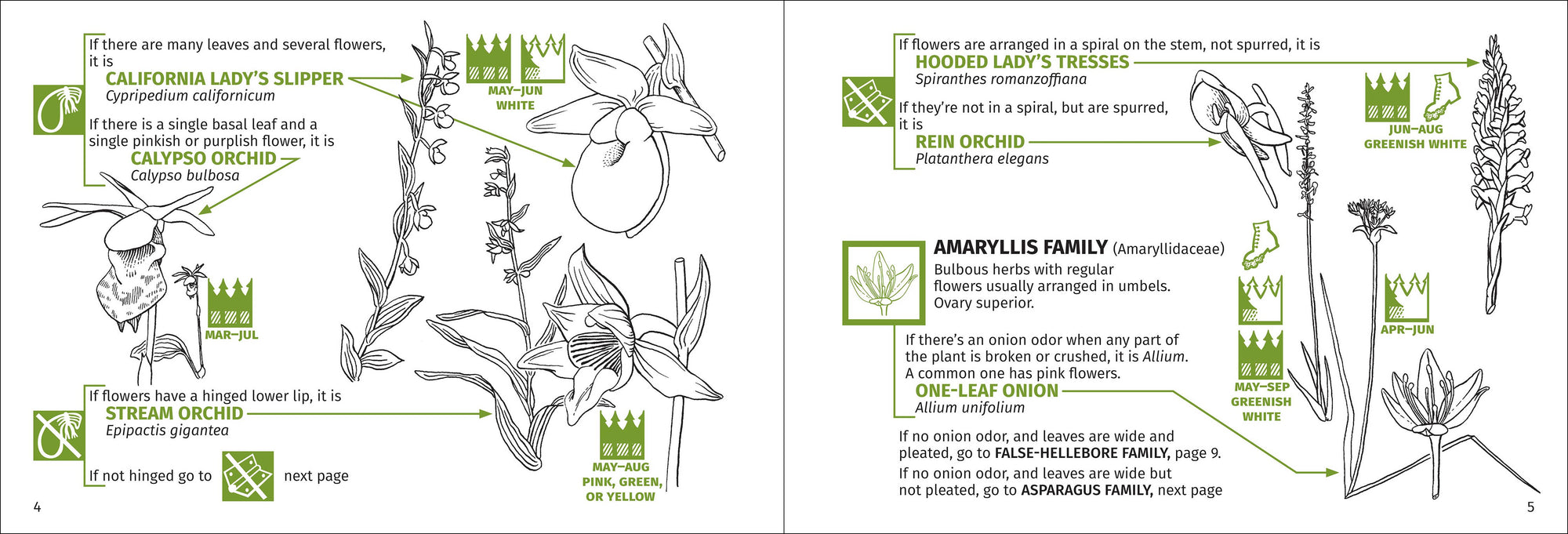 Redwood Region Flower Finder 3rd Edition