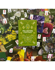 Pollinators of North America Card Deck