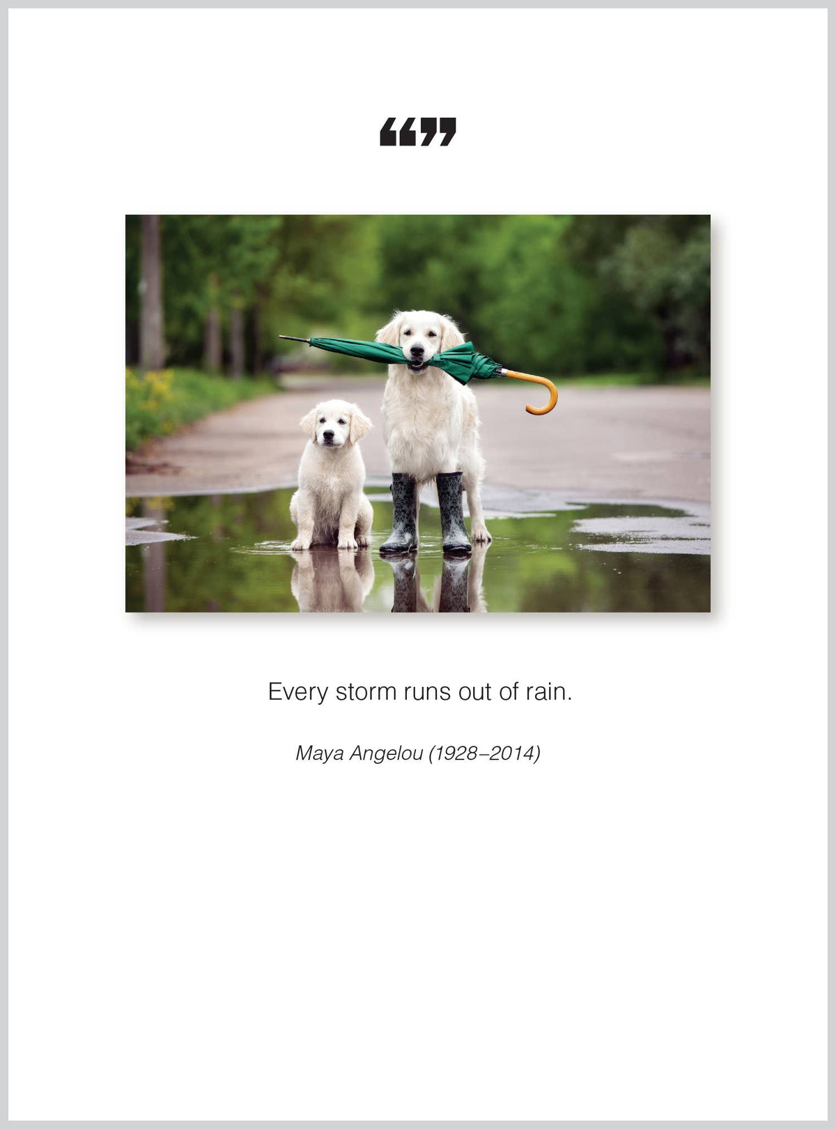 Every storm Get Well Greeting Card