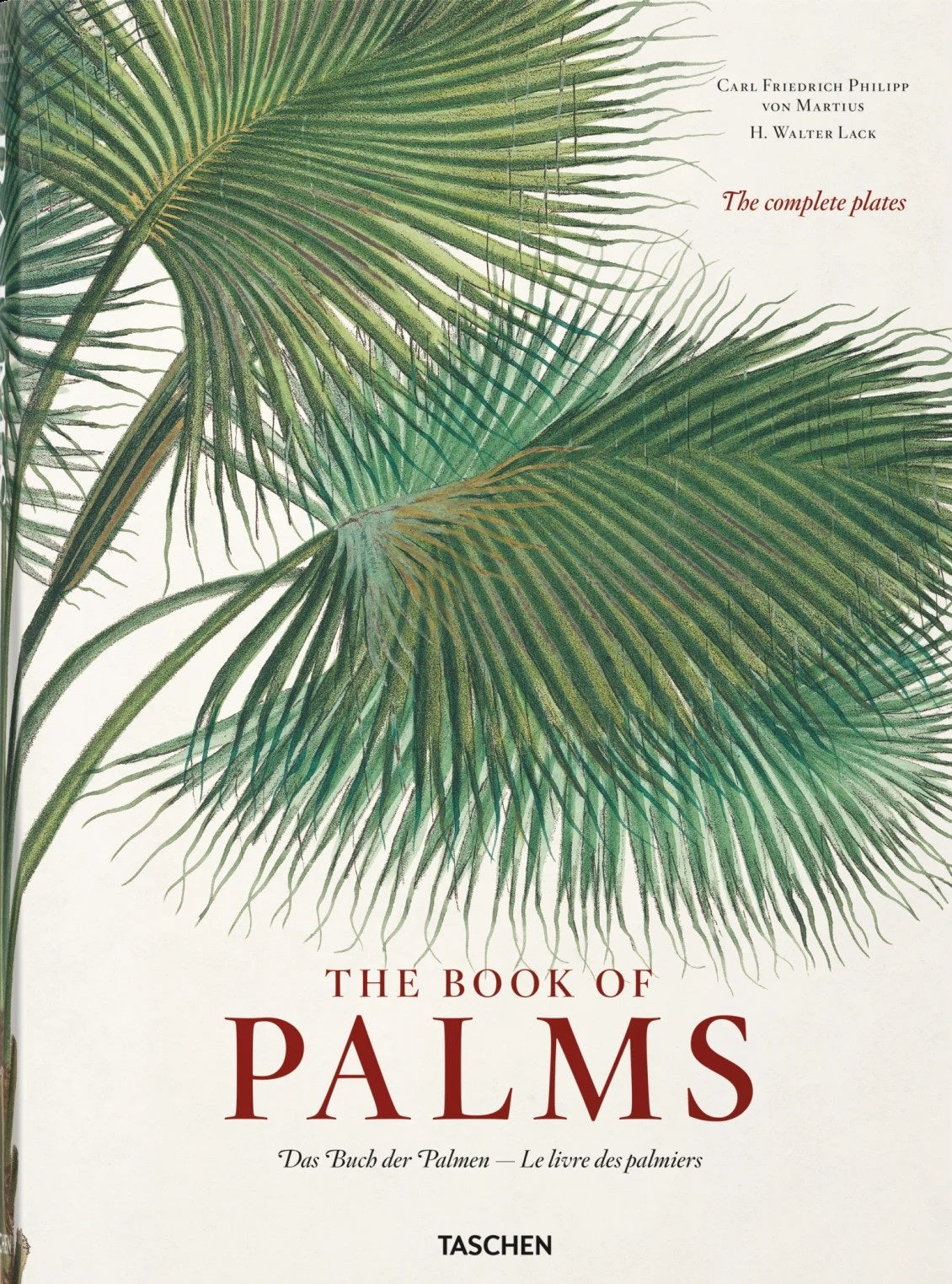 The Book of Palms