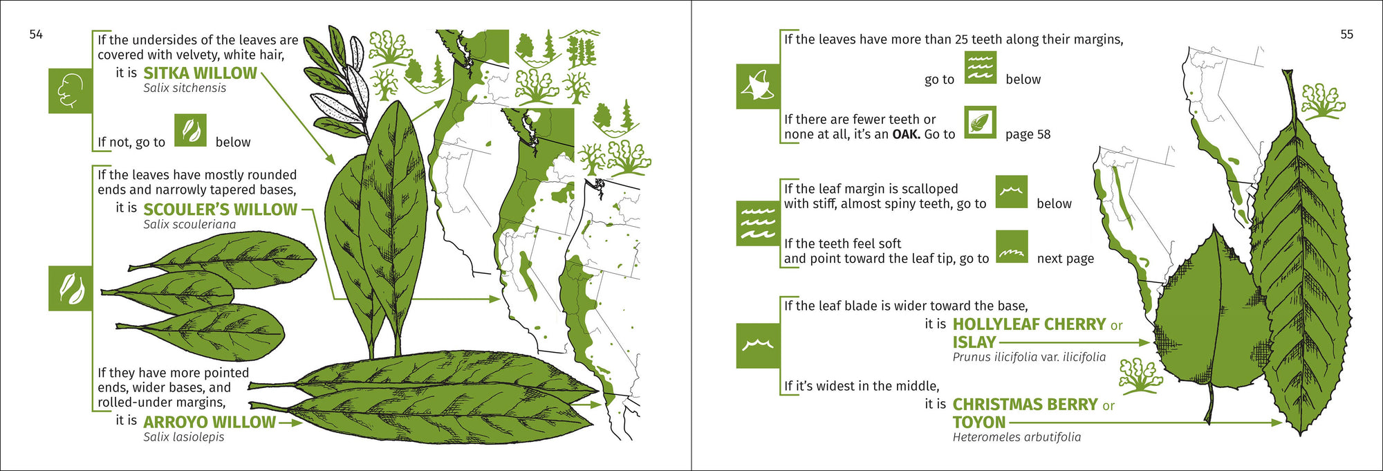 Pacific Coast Tree Finder