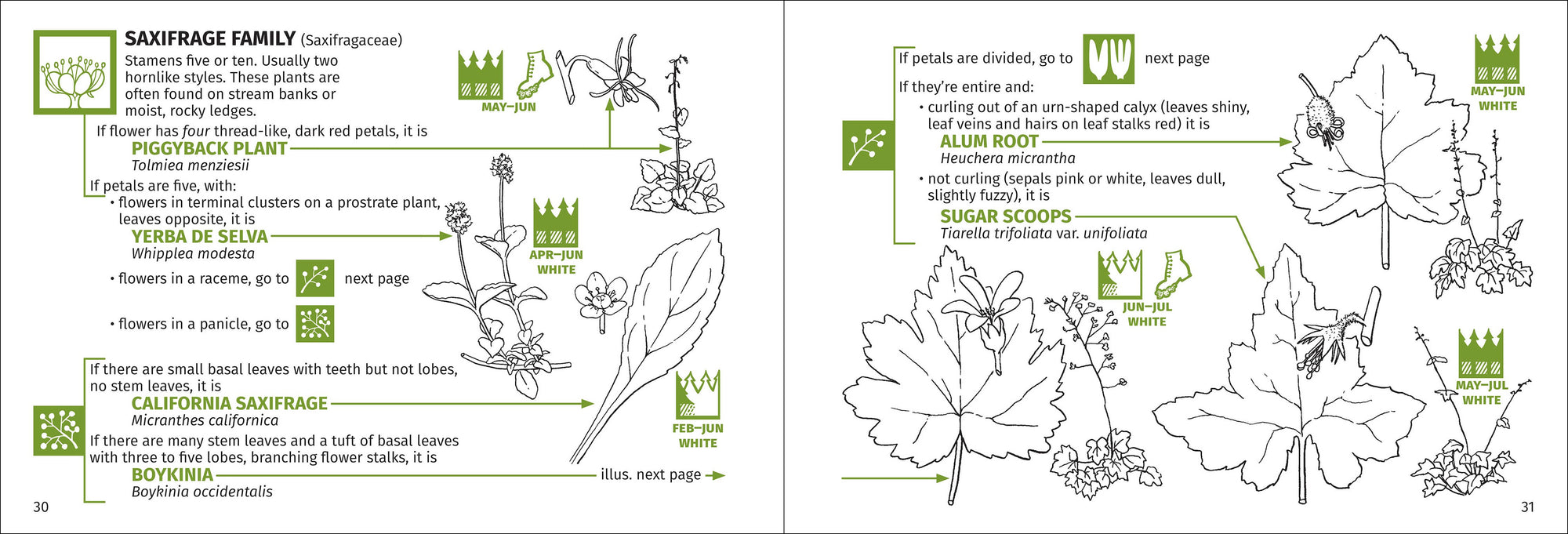 Redwood Region Flower Finder 3rd Edition
