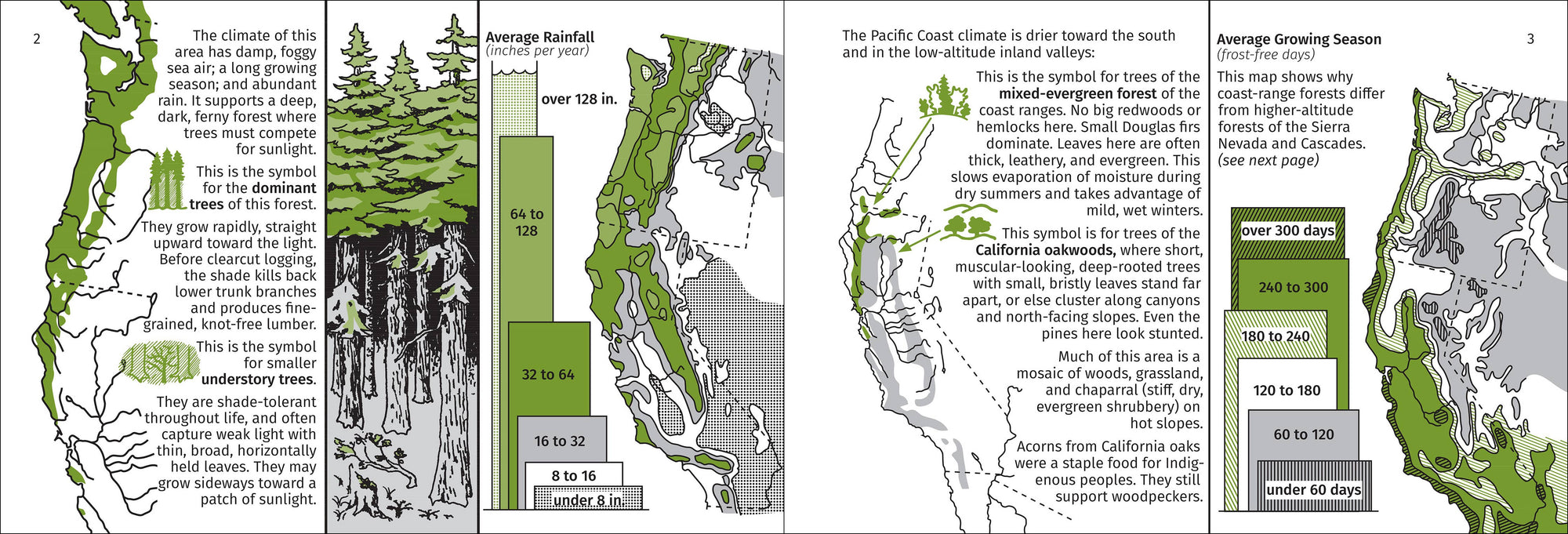 Pacific Coast Tree Finder